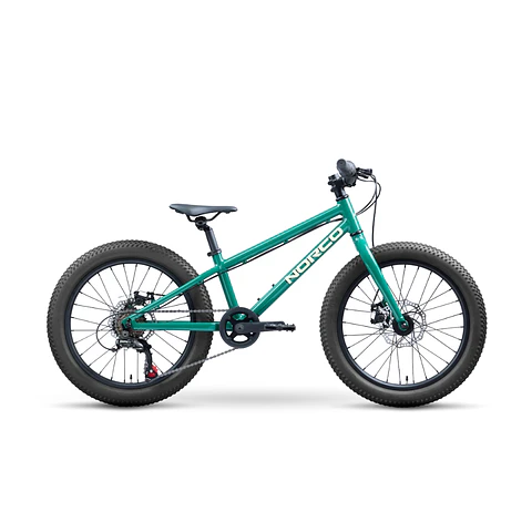 Bicicleta Niño Storm 20 Disc Verde Norco