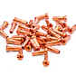 Sapim Niple Polyax alloy 14g/12mm (100 u) - Miniatura 3