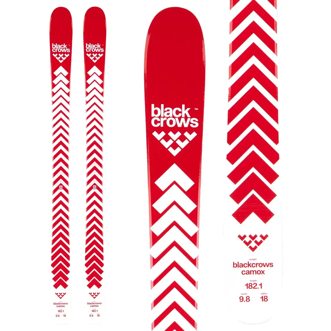 Black Crows Camox 25/26 1