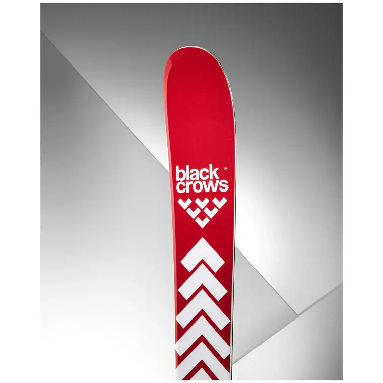 Black Crows Camox 25/26 4
