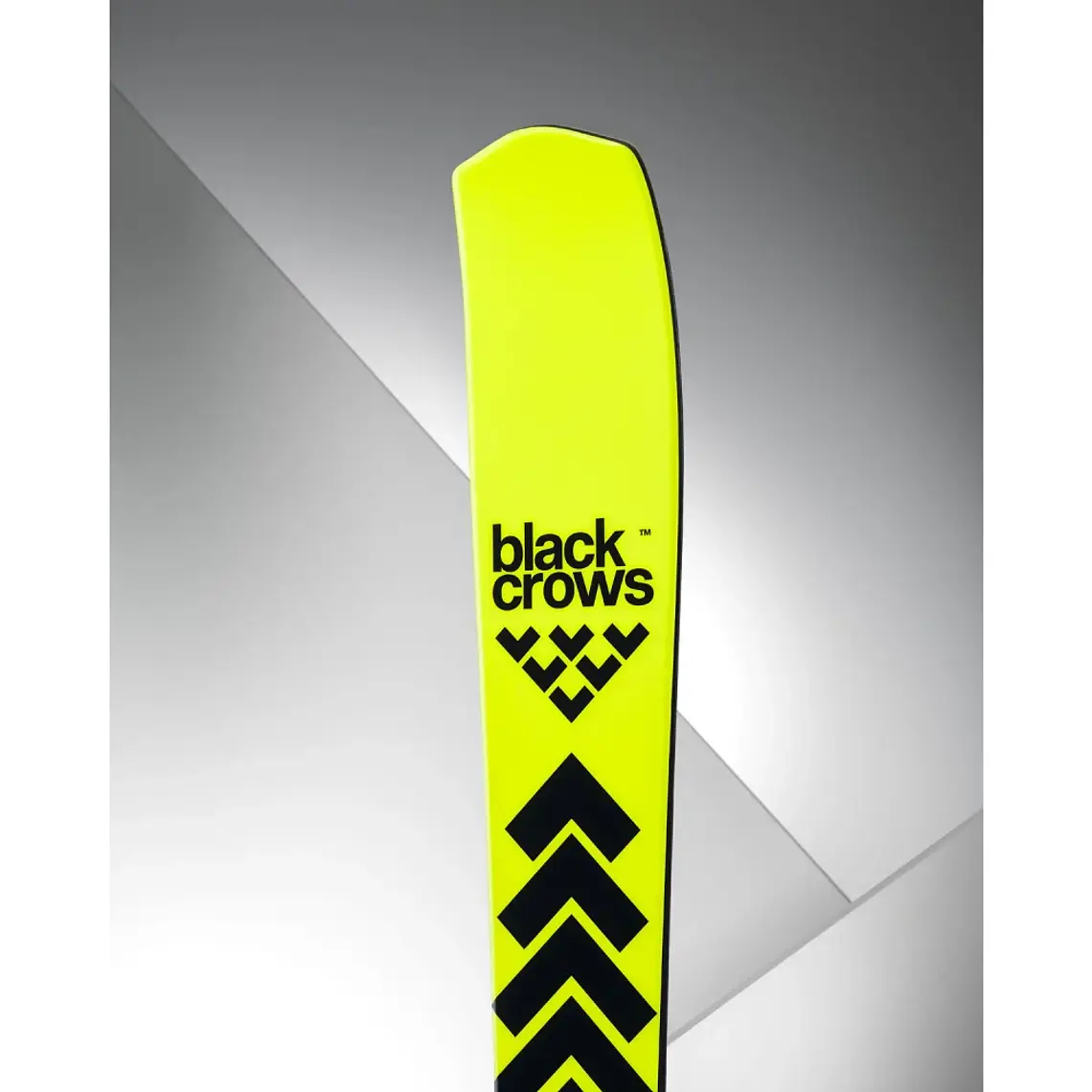 Black Crows Octo 25/26 3