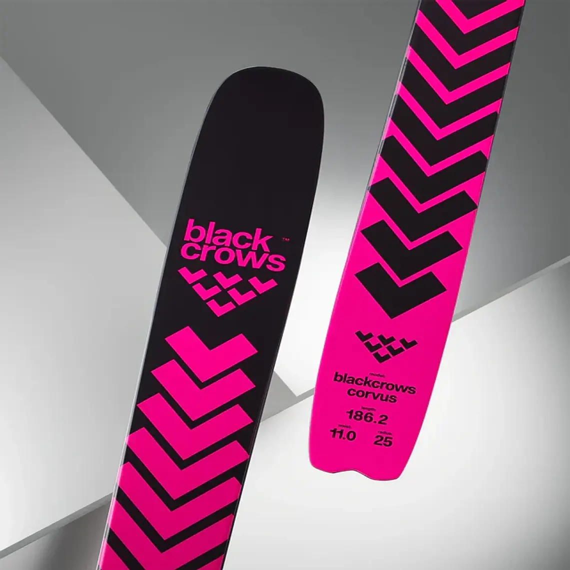 Black Crows Corvus 25/26 4