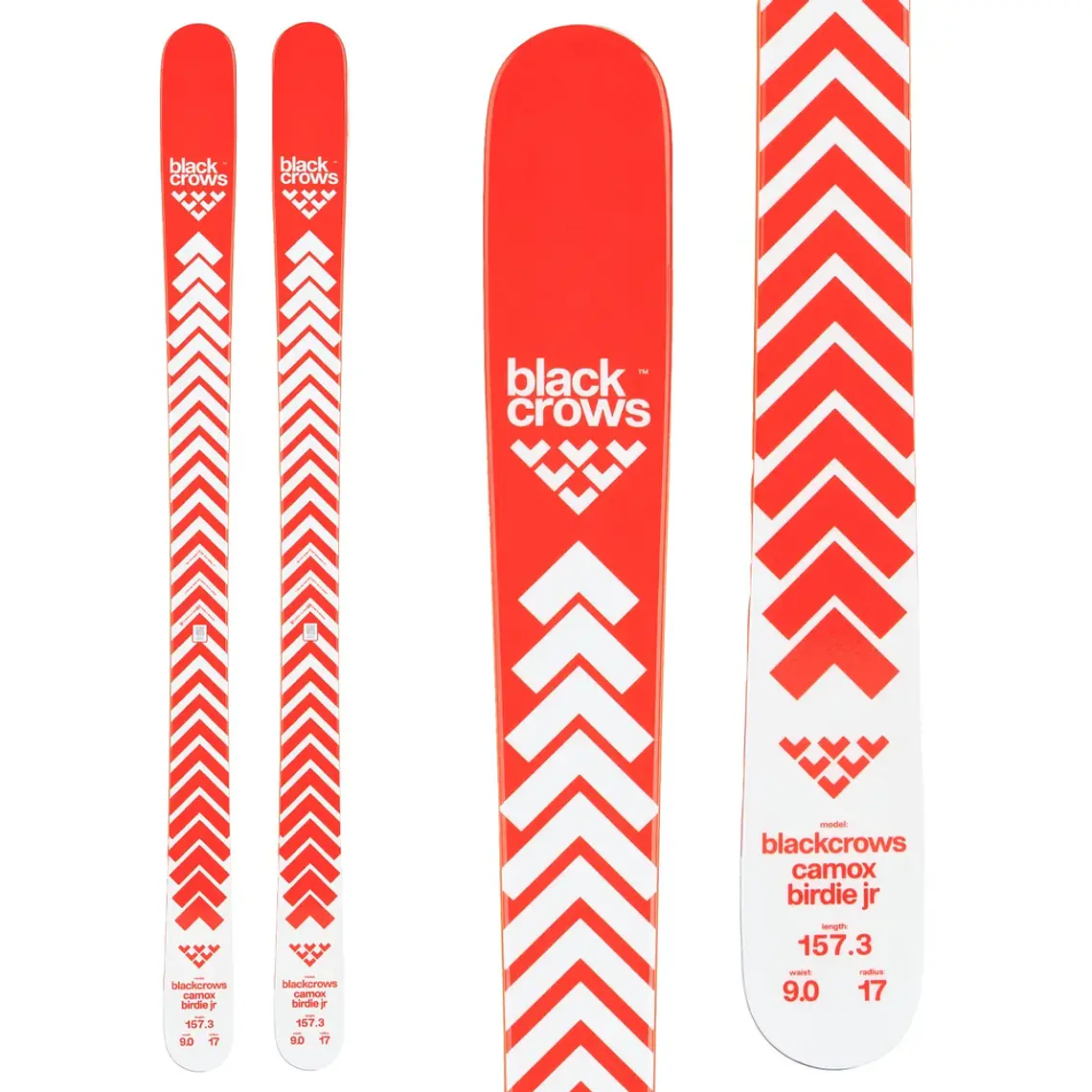 Black Crows Camox Birdie Jr 25/26 1