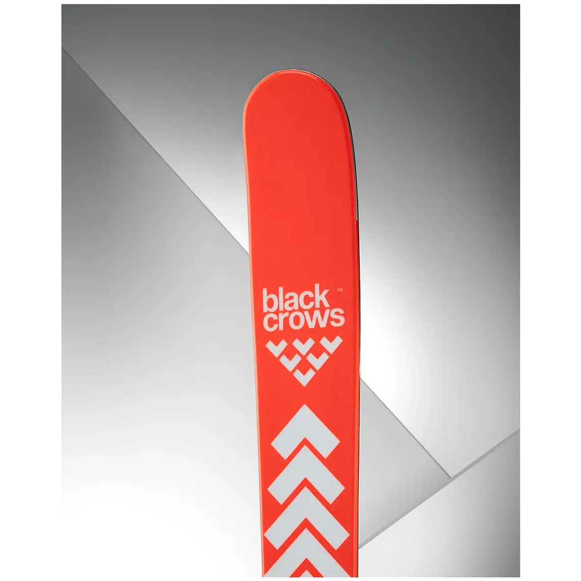 Black Crows Camox Birdie Jr 25/26 3