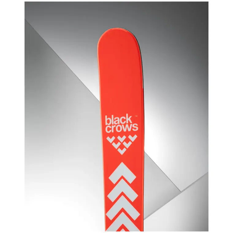 Black Crows Camox Birdie Jr 25/26 3