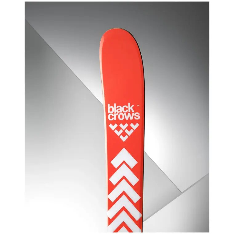 Black Crows Camox Birdie 25/26 4