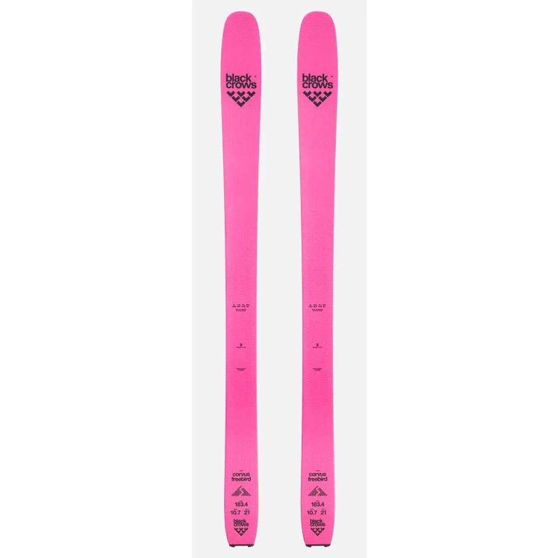 Black Crows Corvus Freebird 2