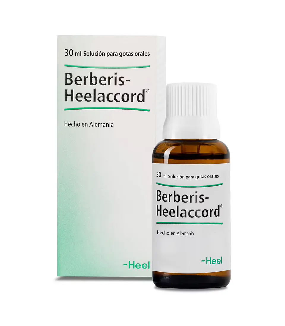 BERBERIS HEELACCORD SOLUCION PARA GOTAS ORALES x 30 ML 1