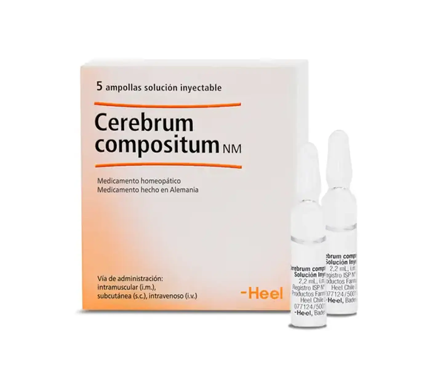 CEREBRUM COMPOSITUM NM SOLUCION INYECTABLE x 5 AMPOLLAS 1