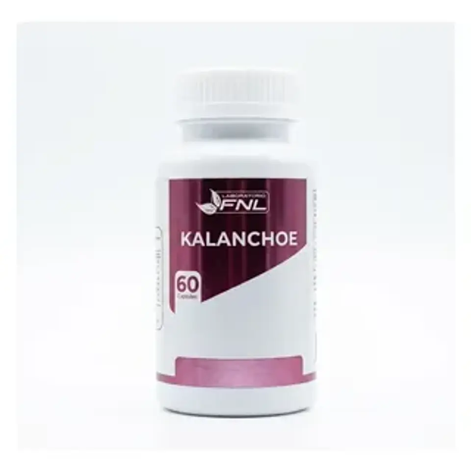 FNL KALANCHOE 300 MG x 60 CAPSULAS 1
