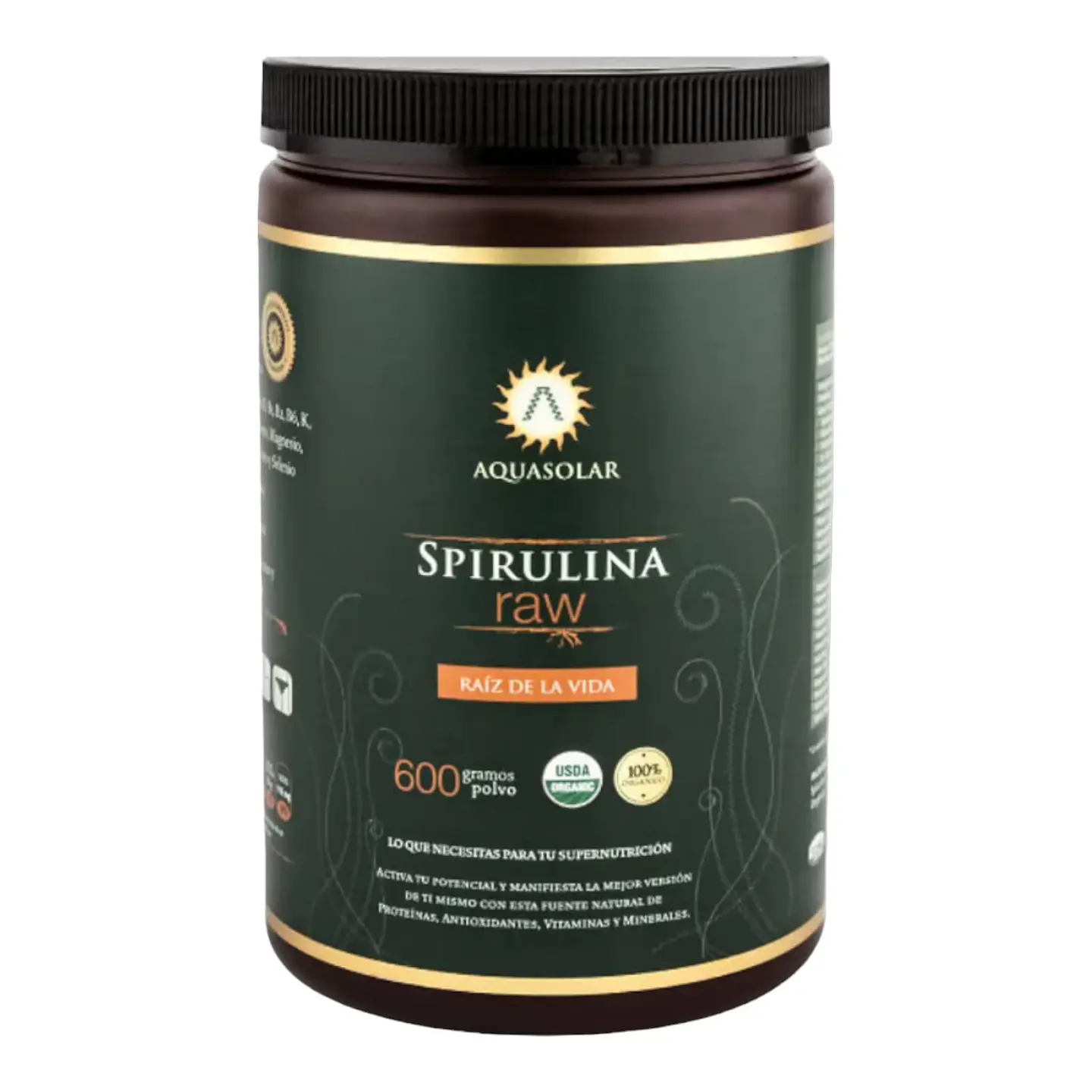 SPIRULINA RAW POLVO x 600 GRAMOS 1