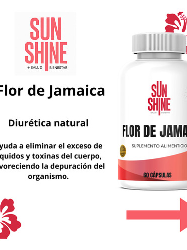 Sun Shine Flor De Jamaica 60 Capsulas Frasco 4
