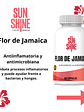 Sun Shine Flor De Jamaica 60 Capsulas Frasco - Miniatura 3