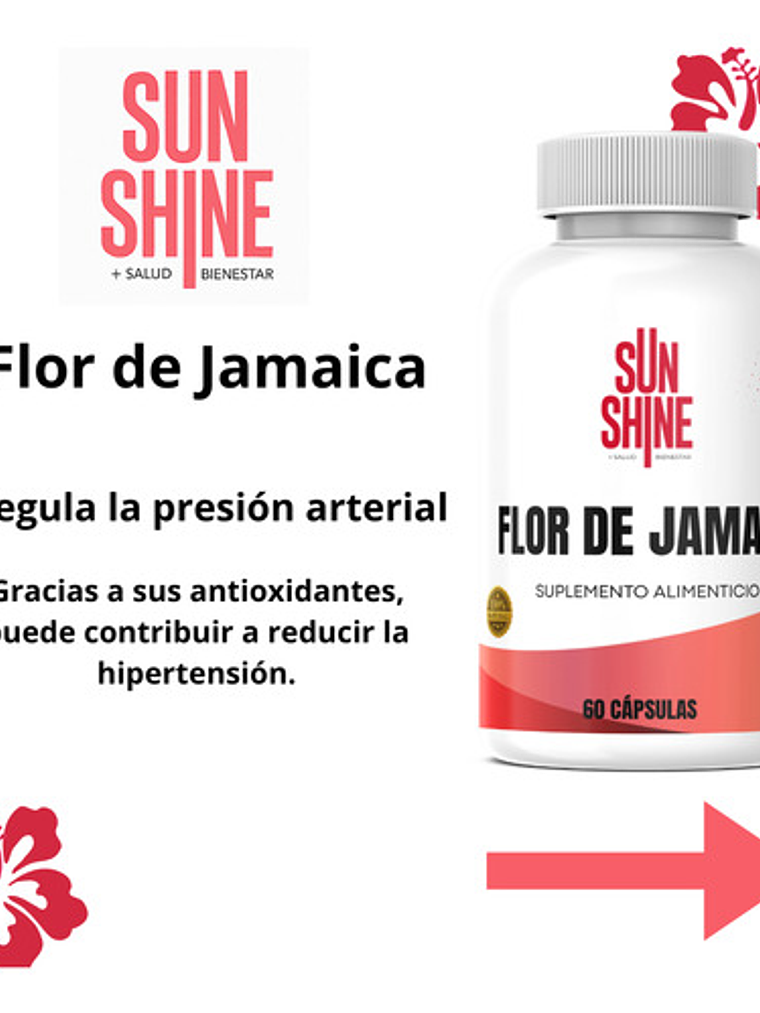 2 Frascos Sun Shine Flor De Jamaica 60 Cápsulas C/u 3