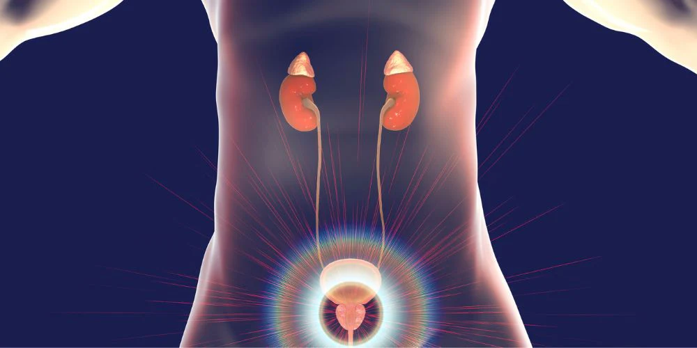 El Cáncer de Próstata: Síntomas y Opciones de Tratamiento