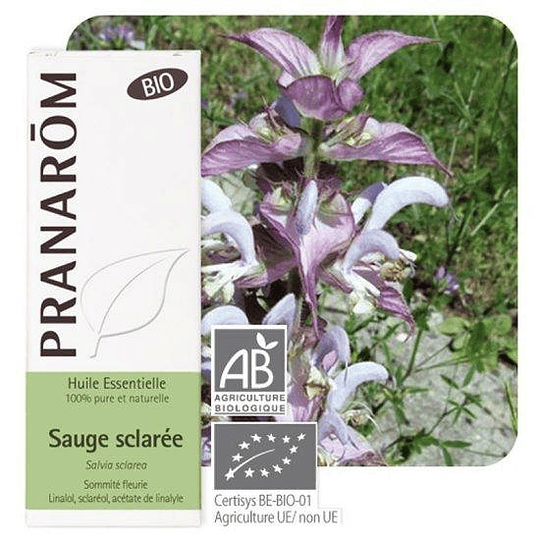 Pranarom Óleo Essencial Salvia 10 ml