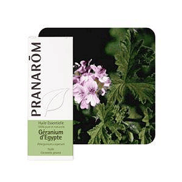 Pranarom Essential Oil Pelargonium 10 ml