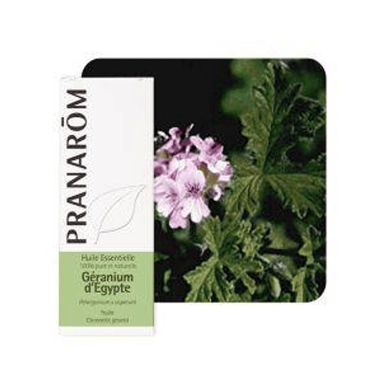 Pranarom Óleo Essencial Pelargónio 10 ml