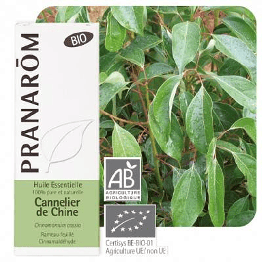 Pranarom Óleo Essencial Canela China 10ml