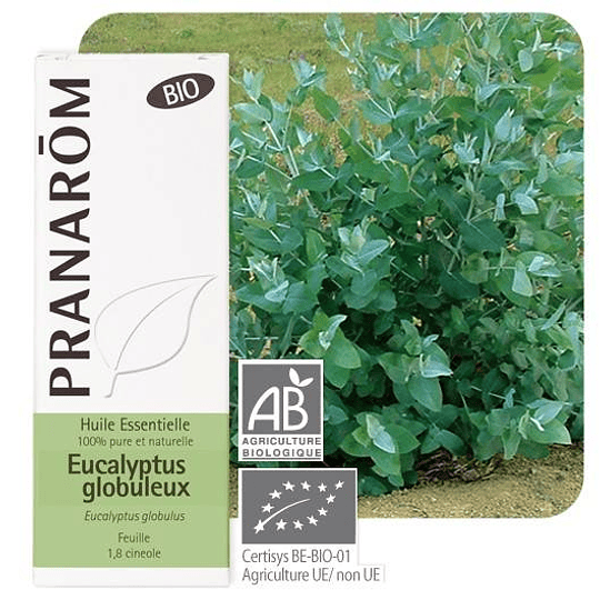 Pranarom Essential Oil Eucalyptus 10 ml