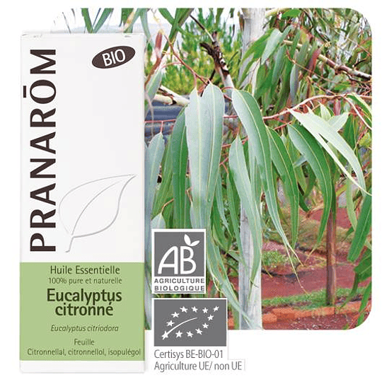 Pranarom Essential Oil Blue Eucalyptus 10ml