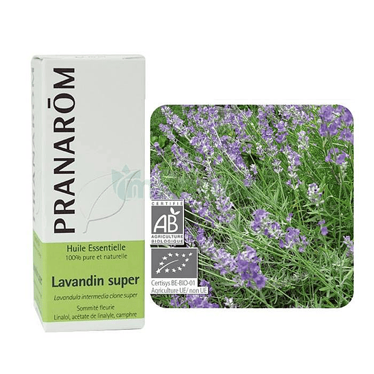 Pranarom Óleo Essencial Lavanda Intermédia 10ml