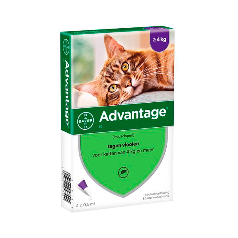 Advantage Gatos >=4 kg 0,8ml x4 Pipetas Solução Punctiforme