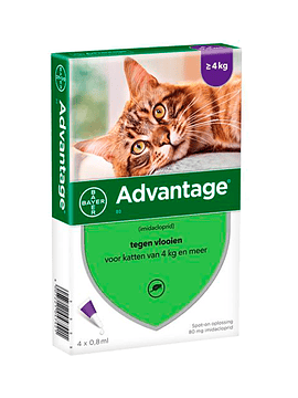 Advantage Gatos >=4 kg 0,8ml x4 Pipetas Solução Punctiforme