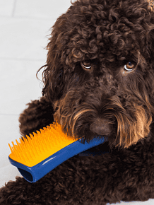 Tangle Teezer Pet Teezer Detangling Dog Grooming Brush 