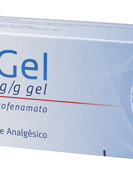 Reumon Gel, 50 mg/g-100 g x 1 gel bisnaga