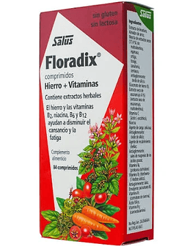 Floradix X84 Comprimidos 