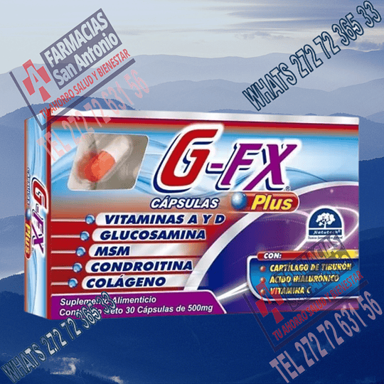 G-Fx Plus 500mg 60 tabletas  