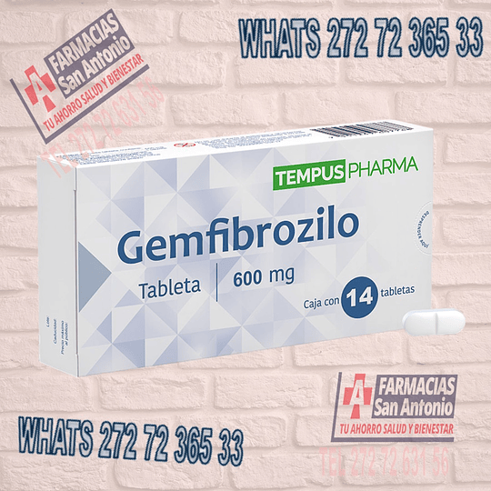 Gemfibrozilo 600mg 14 tabletas