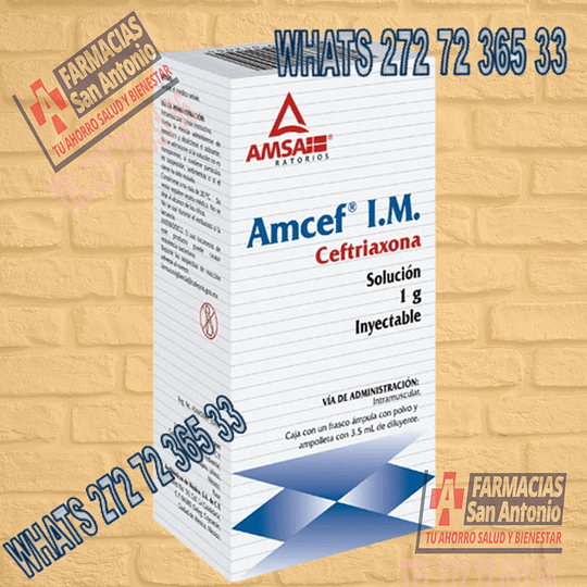 Ceftriaxona 1g Inyectable AMSA