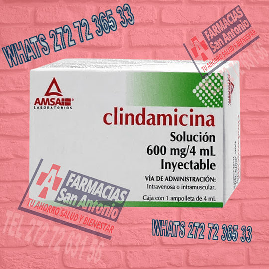 Clindamicina 600mg/4mL Inyectable