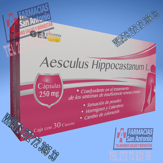 Aesculus hippocastanum  30capsulas 250mg Promoción 