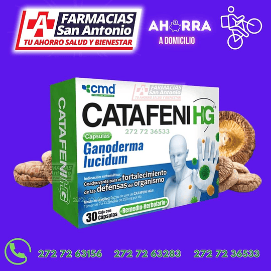 Catafeni HG ganoderma lucidum 30capsulas
