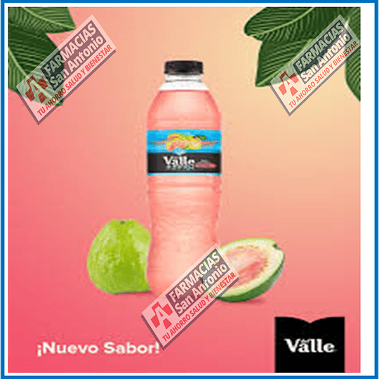 del valle frut 