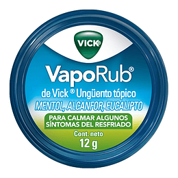 VICK VAPORUB LAT 12 GR X 12