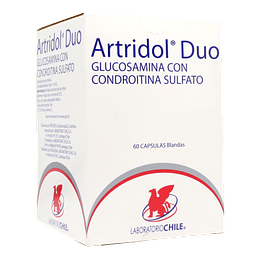 Artridol Duo  60 cápsulas