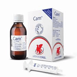 Cam Jarabe 120 ml