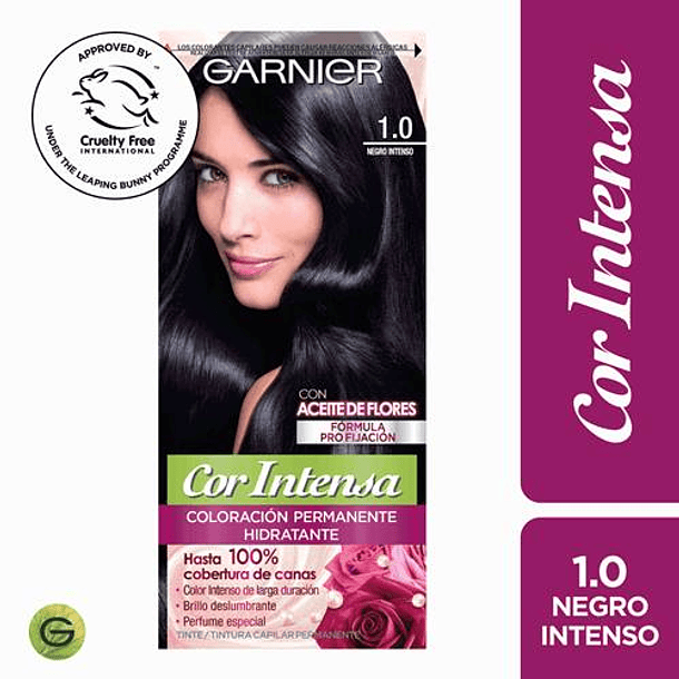 Garnier Cor Intensa 1.0 Ne  gro Tinte 