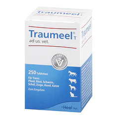 Traumeel Perros y Gatos (Uso Veterinario) x 250 Heel Comprimidos