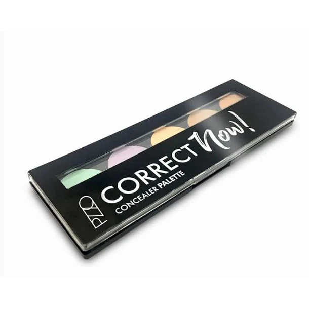 Petrizzio Correct Now Palette 