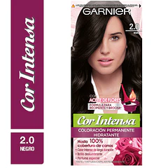 Garnier Nutrisse Negro N2,0