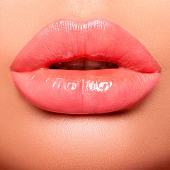 Petrizzio Brillo de Labios Gloss Plumping Glitter Ligth Pink 02 7ml