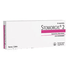 Stomorgyl 2 (10 comprimidos)