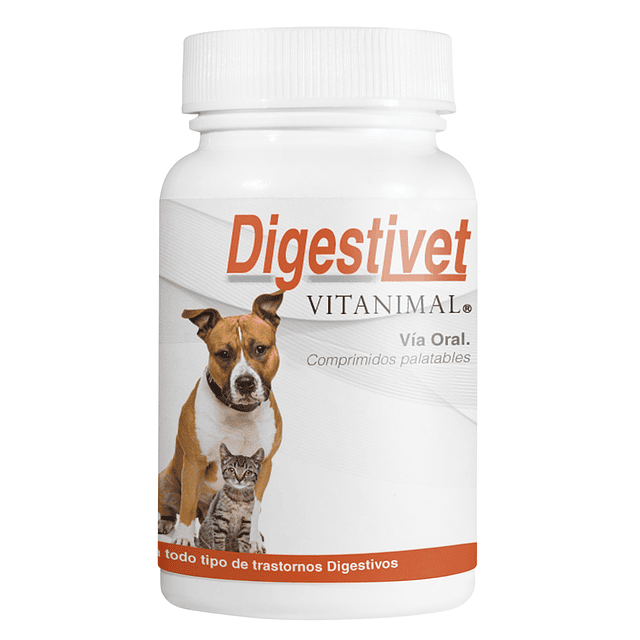 Digestivet 10 Comprimidos Frasco