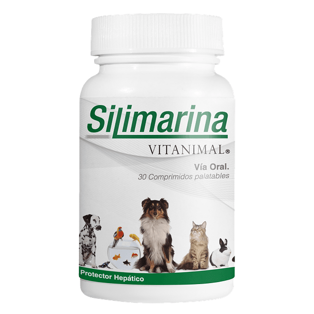 Silimarina Vitanimal  30 Comprimidos Frasco