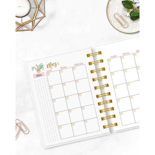 Agenda Pocket Cactus A6 • Sin Fecha | Fati Papelería